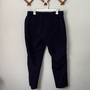 Dana Buchman Plum Pants 16